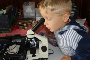 Peta_Vyhnalek_mikroskop